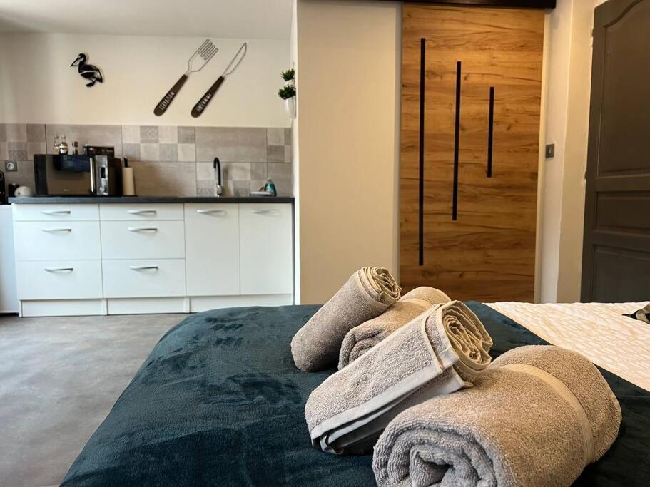 Studio Le Petit Pelican Châtenois Buitenkant foto